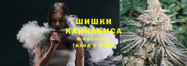 прущие грибы Арсеньев
