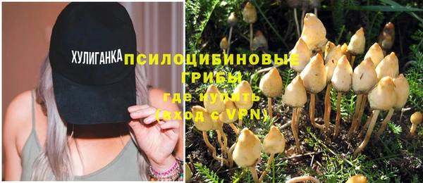 дживик Аркадак