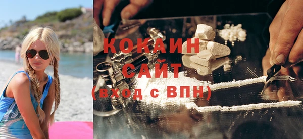 прущие грибы Арсеньев