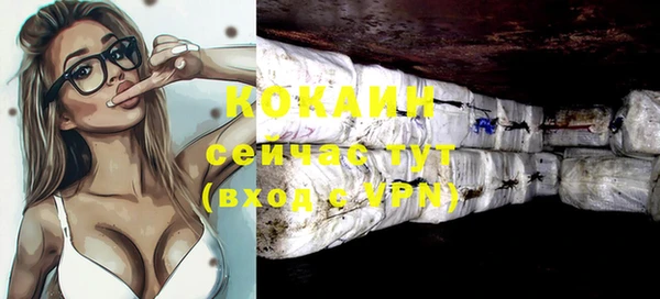 дживик Аркадак